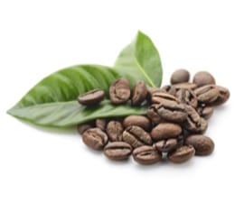 Extracto Seco de Café Verde